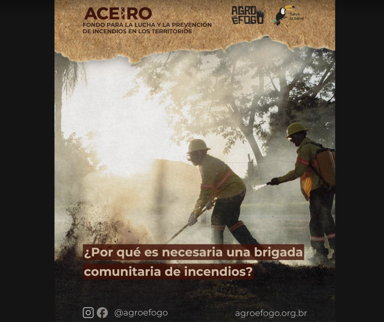 Poster mit Foto des Waldbrandbekämpfungsfonds Aceiro von Agro é Fogo und Rettet den Regenwald: Warum sind gemeinschaftliche Brigaden zur Feuerbekämpfung notwendig?