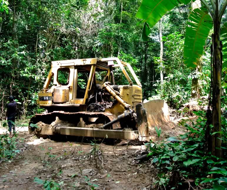 Bulldozer im Cross River Nationalpark