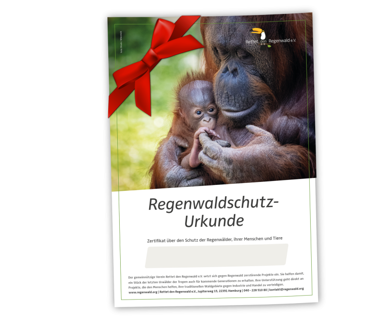 Orang-Utan Spendenurkunde mit einer Orang-Utan-Mutter und ihrem Kind