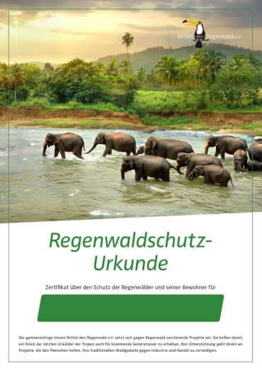 Regenwaldurkunde mit Elefanten Motiv