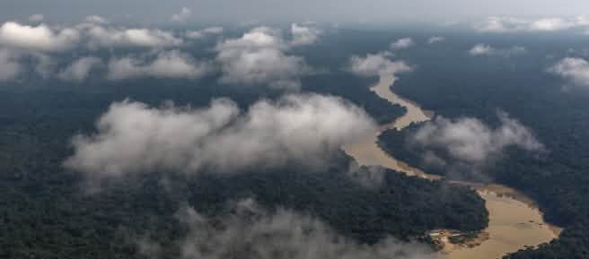Luftaufnahme mit Wolken von einem sich durch einen Regenwald schlängelnden Fluss