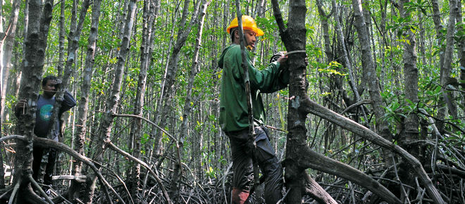 CIFOR-Forscher