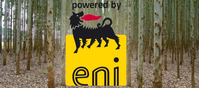 Collage : Eukalyptus-Plantage mit Eni-Logo