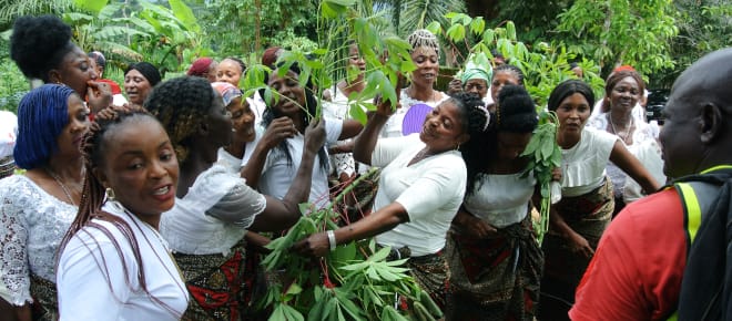 Frauen feiern das Kassava-Fest, Nigeria