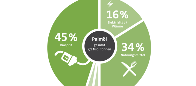 Palmölimporte in die EU und Verwendung des Palmöls