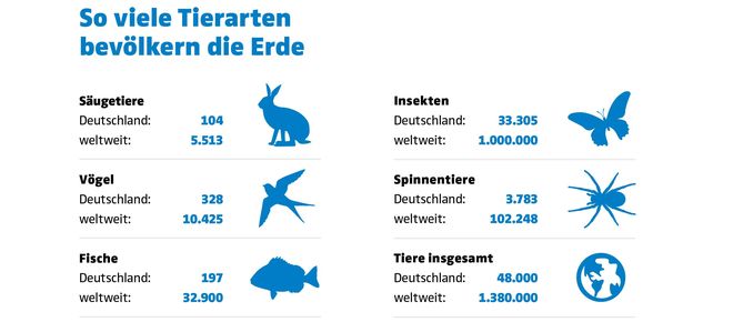 Grafik Tierarten