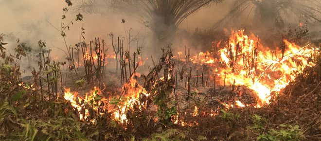 Brände beim Dorf Puding, Distrikt Muaro Jambi, Sumatra, 21. September 2019