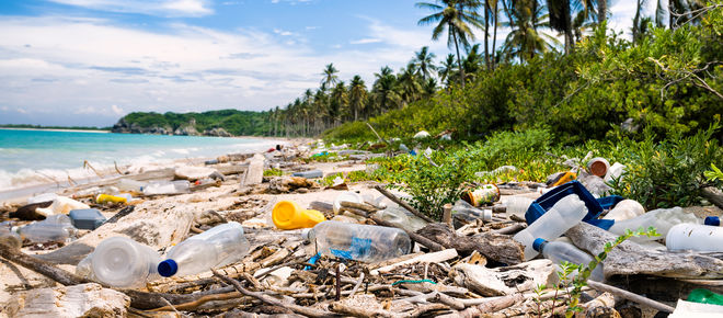 Plastikmüll am Palmmen-Strand