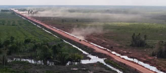Rote Straße durch ehemaliges Regenwaldgebiet