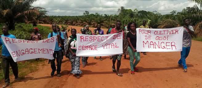 Demonstration gegen die Palmöl-Firma Socfin in Kamerun