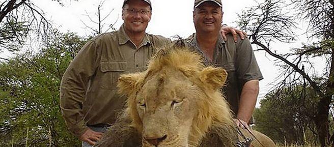 Der Trophäenjäger in Afrika