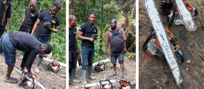 Eco-Guards beschlagnahmen Motorsägen