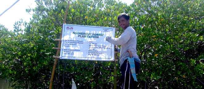 Romeo Japson zeigt auf ein Schild, auf dem Informationen zur Mangrovenaufforstung stehen