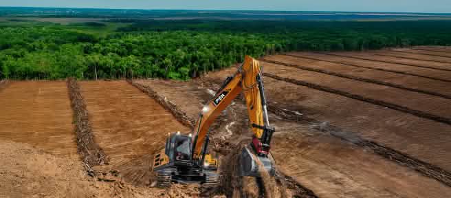 Bagger auf abgeholztem Land. Der Wald im Hintergrund ist bedroht