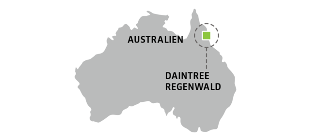 Karte Australien Daintree Regenwald