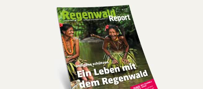 3D-Ansicht des Covers vom Regenwald Report 3/20