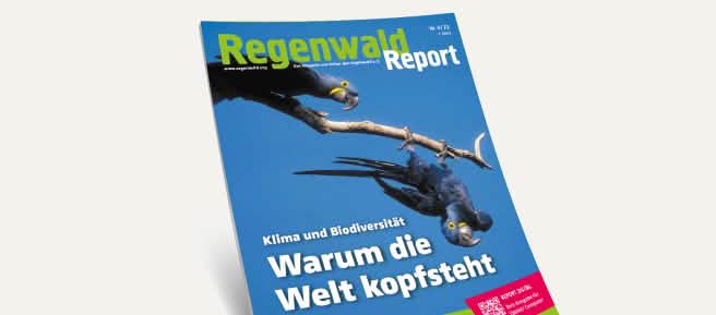 3D-Ansicht des Covers vom Regenwald Report 3/21