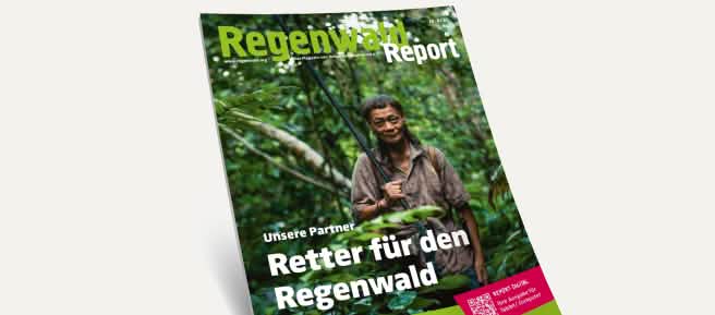 3D-Ansicht des Covers vom Regenwald Report 4/21