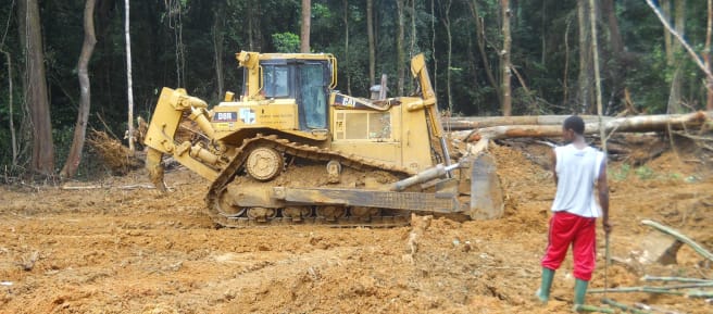 Eine Person steht vor einem Bulldozer inmitten von aufgewühltem roten Boden im Regenwald