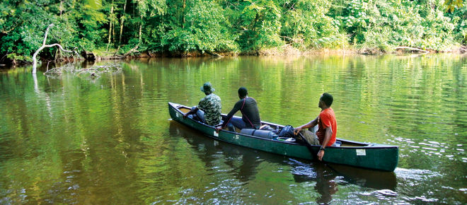 Fluss im Sapo-Nationalpark