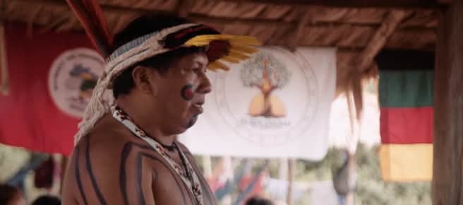 Ithau Ka'apor, Profil