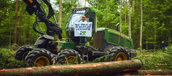 Protest gegen Rodung im Welterbe Bialowieza (Polen)