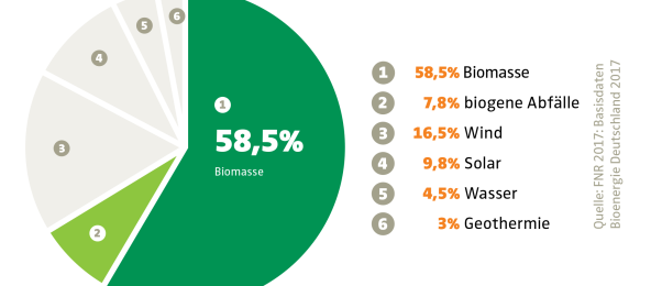 Anteil der Bioenergie bei den erneuerbaren Energien in der EU (2016). Tiere und Pflanzen sind nur noch "Biomasse" Anteil der Bioenergie bei den erneuerbaren Energien in der EU (2016)