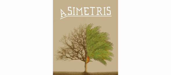 Cover der DVD Asimetris