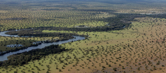 Landschaft aus der Vogelperspektive mit Wald und Fluss