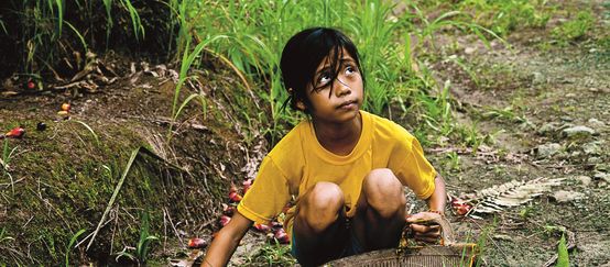 Ein Mädchen in Südostasien sammelt am Boden hockend die Früchte von Ölpalmen ein