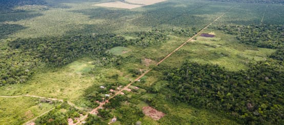 © Cicero Pedrosa Neto / Global Witness Luftaufnahme einer kleinen Ortschaft entlang einer schnurgeraden Piste, dahinter die in den Regenwald geschlagenen Ölpalm-Plantagen