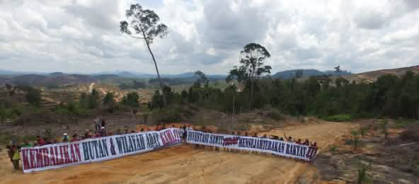 Proteste gegen Palmölplantagen für Klimaschutz in Borneo Proteste gegen Palmöl im Regenwald von Borneo