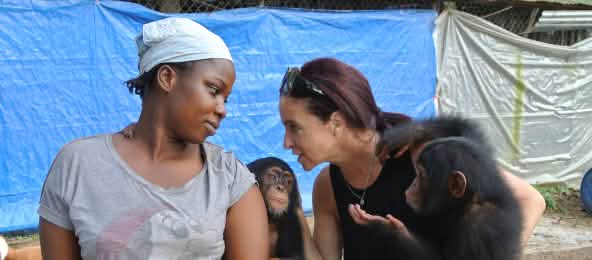 Jenny Desmond und ihre Mitarbeiter kümmern sich um die Schimpansen Schimpansen-Auffangstation nahe Monrovia,