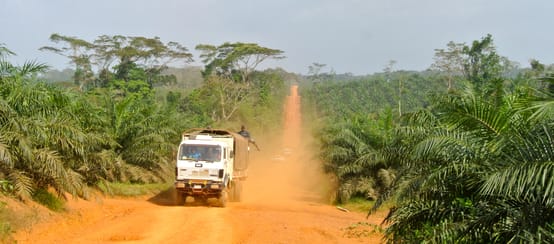 Für Palmölplantagen wird in Liberia Regenwald vernichtet - auch Lebensraum von Schimpansen (© Mathias Rittgerott) Ein Lkw fährt durch eine Palmöl-Plantage in Liberia