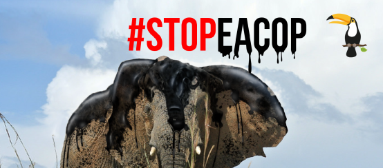 Montage: Erdöl ist eine große Gefahr für Elefanten - StopEACOP