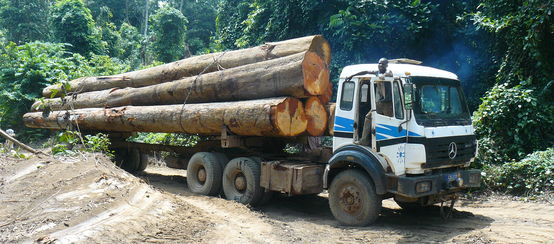 Ein Holzlaster transportiert Tropemholzstämme im Regenwald von Afrika