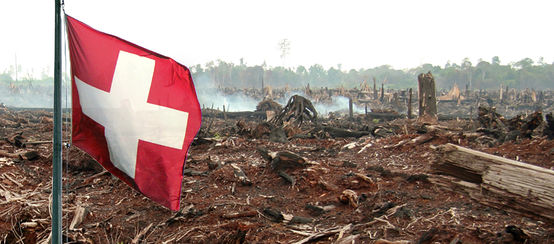 Schweizer Flagge verbrannter Wald