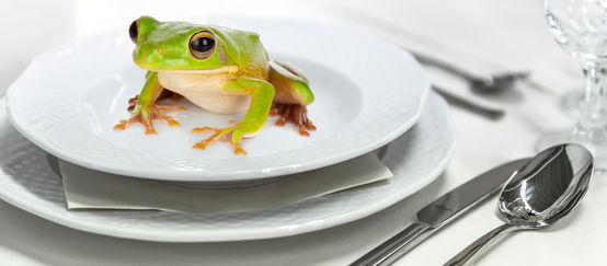 Frosch auf dem Teller