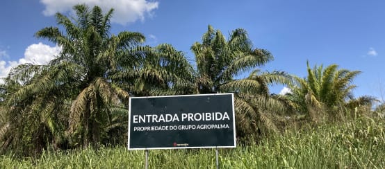 Hinweisschild des Palmölkonzerns Agropalma am Rande einer Ölpalmplantage im brasilianischen Bundesstaat Pará im Amazonasregenwald. Übersetzung der Aufschrift: BETRETEN VERBOTEN - BESITZ DER GRUPPE AGROPALMA (© RdR/ Klaus Schenck) Hinweisschild des Palmölkonzerns Agropalma am Rande einer Ölpalmplantage