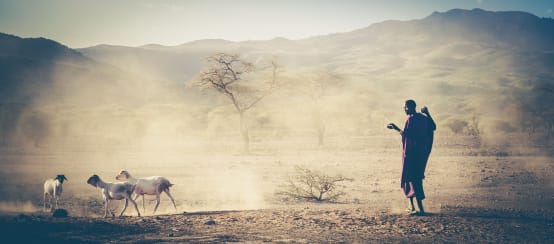 Hirten vom Volk der Massai leiden seit Jahrzehnten unter Gewalt (© Patrick Sertore) Viehhirte in Tansania, Massai