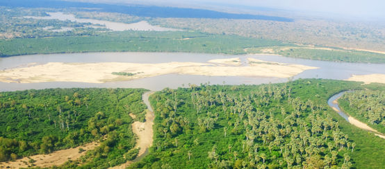 Wird der Fluss Rufiji gestaut, verschwinden große Savannen-Gebiete in einem Stausee (© istockphoto.com) Flug über dem Rufiji-Fluss im Selous Game Reserve in Tansania