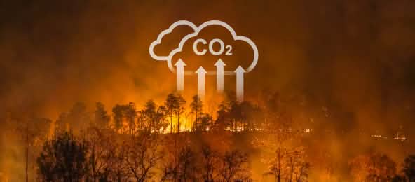 Waldbrände und Brandrodungen tragen zur globalen Klimakrise bei (© Toa55/Istockphoto) Waldbrände und Brandrodungen tragen zur Erderhitzung bei