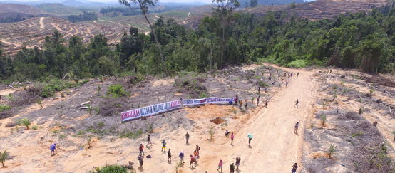 In Kinipan (Indonesien) wehren sich die Menschen gegen Plantagen für Palmöl, in Kressbronn gegen dessen Verfeuerung (© Save Our Borneo) Proteste gegen Palmölplantage in Indonesien abgeholzte Fäche riesiges Transparent der Bewohner