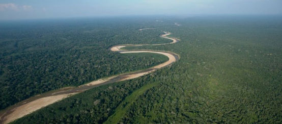 Luftaufnahmen von einem Fluss, der sich durch unberührten Regenwald im Tiefland von Bolivien schlängelt