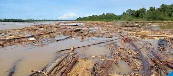Abholzung verstopft einen Fluss mit Baumstämmen
