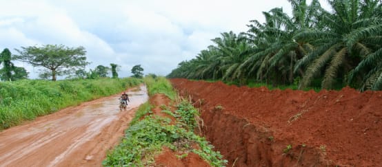 Die Firma Okomu Oil Palm OOPC hat einen tiefen Graben um ihre Plantage ausgehoben (© Rettet den Regenwald / Mathias Rittgerott) Graben um die Palmölplantage von Okomu Oil Palm in Nigeria