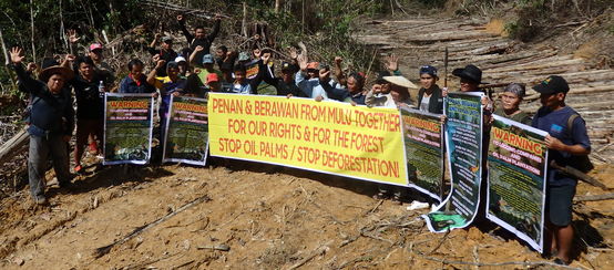 Indigene Penan und Berawan protestieren gegen die Rodung des Mulu-Waldes, Sarawak, Malaysia