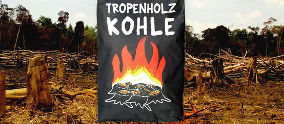 250.000 Tonnen Holzkohle verbrennen pro Jahr auf deutschen Grills – ein Großteil stammt aus Raubbbau in den Tropen und Osteuropa (© COP - Montage Rettet den Regenwald) Collage aus Beutel mit Holzkohle auf abgebranntem Regenwald