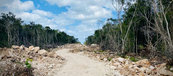 In den Regenwald für die Bahntrasse des Tren Maya geschlagene Schneise