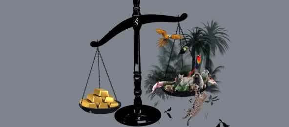 Waage mit Gold und Regenwald